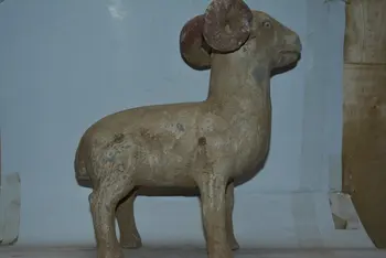 Rare Dinastiei Qin (221 Î. hr. pentru a 207Painted ceramica oi statuie,pictate manual meserii /colectare & podoabă,transport Gratuit